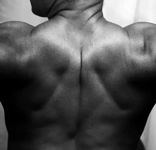 back — photo