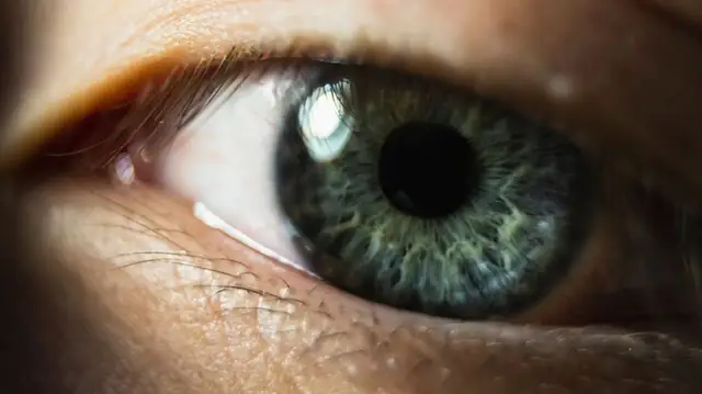 eye — photo