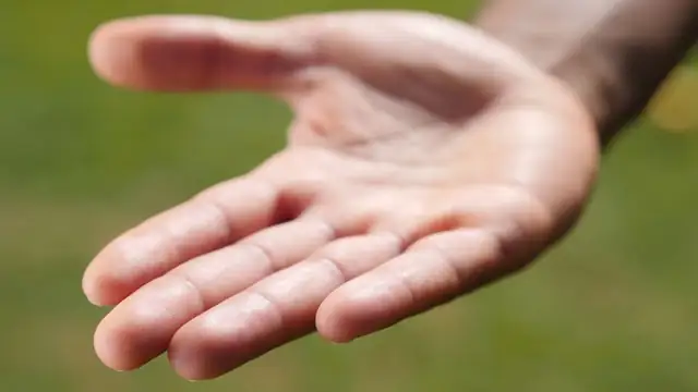 hand — photo