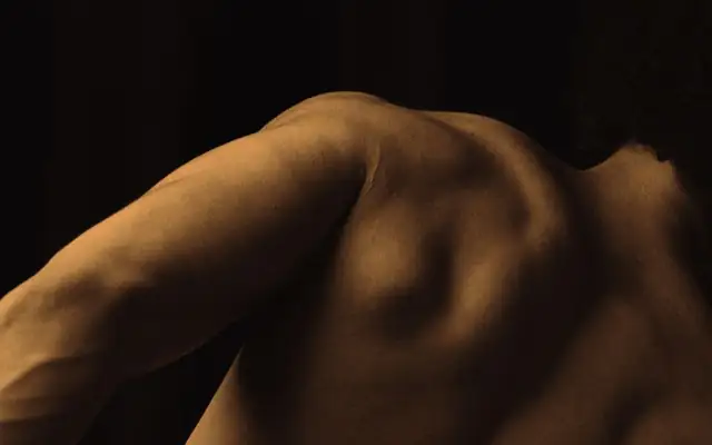 shoulder — photo