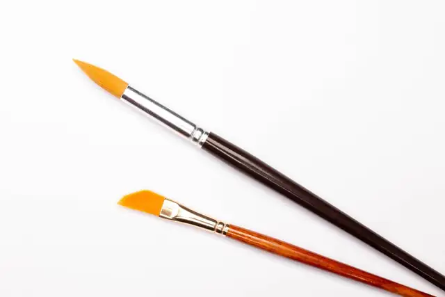paintbrush — photo