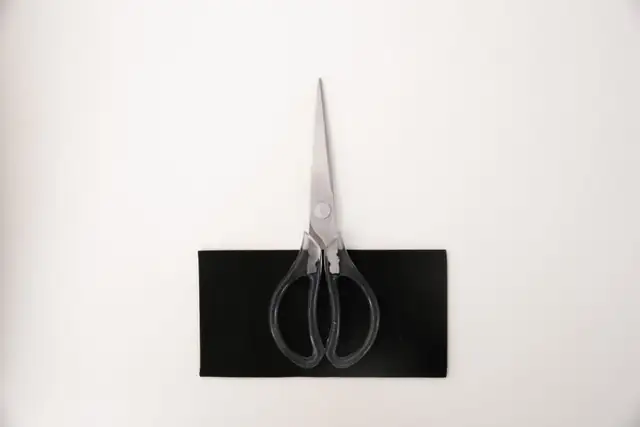 scissors — photo