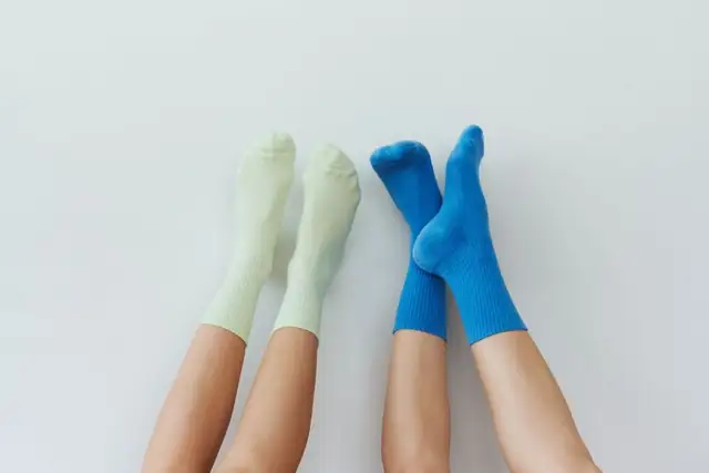 socks — photo