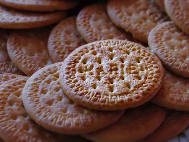 biscuit — photo
