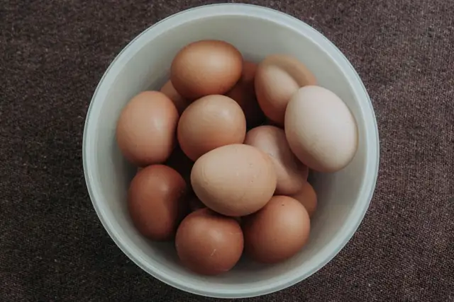 egg — photo