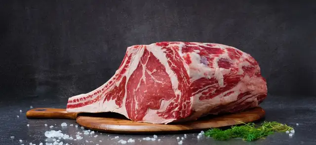 meat — photo