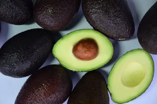 avocado — photo