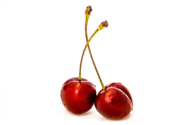 cherry — photo