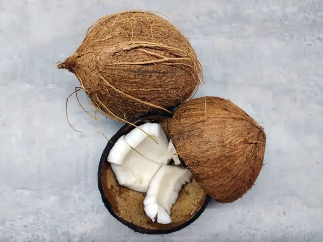 coconut — photo