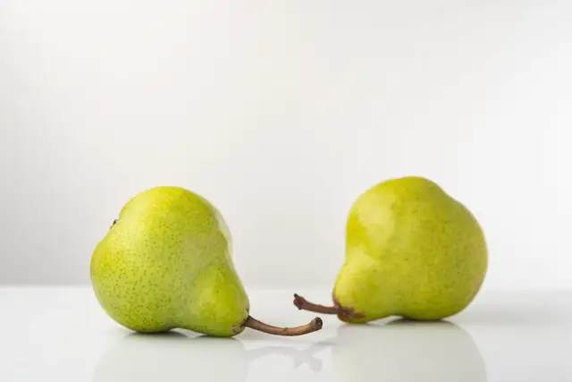 pear — photo