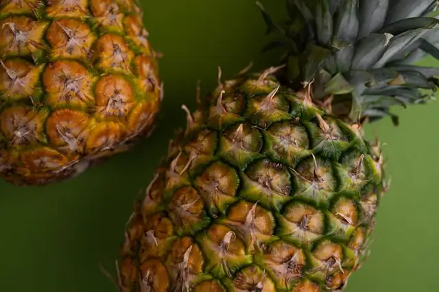 pineapple — photo