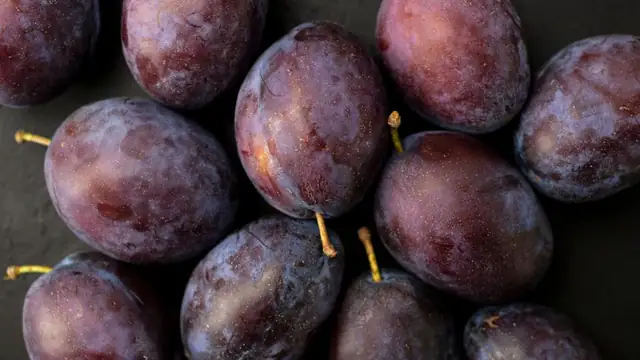 plum — photo