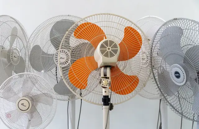 fan — photo