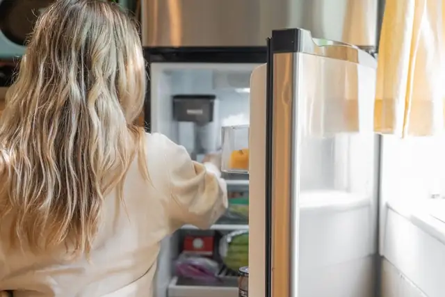 fridge — photo