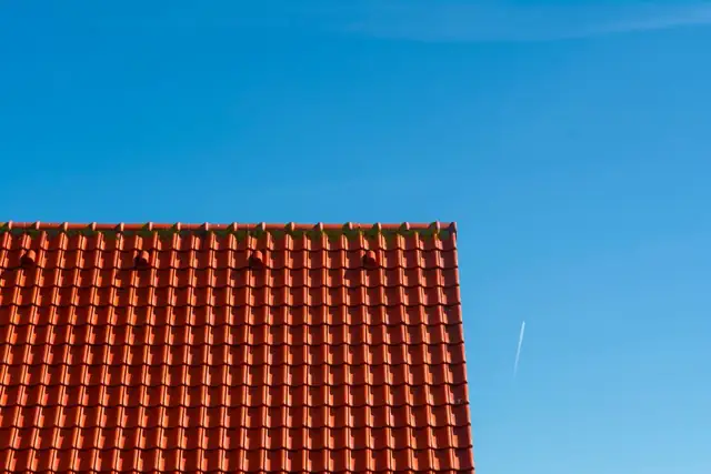 roof — photo
