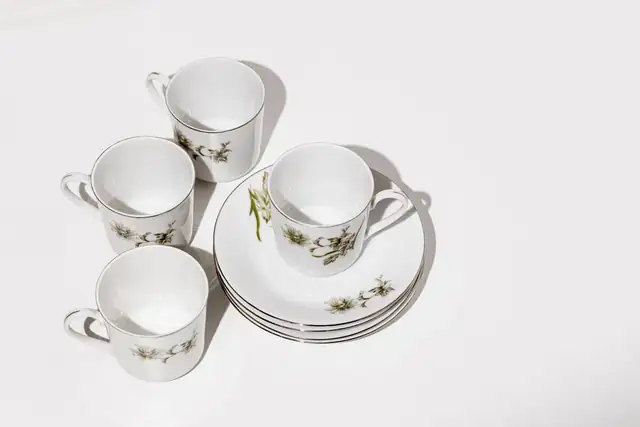 cup — photo
