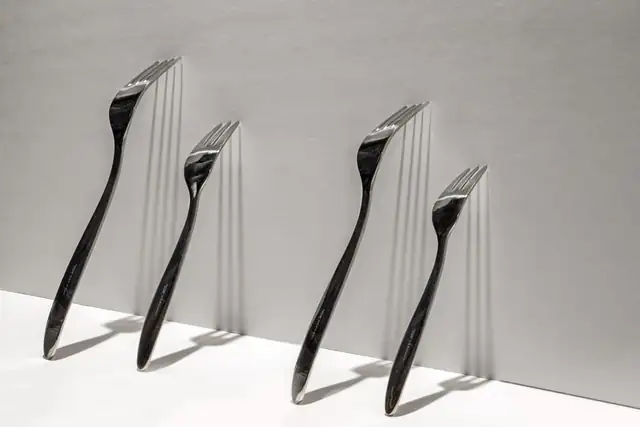 fork — photo