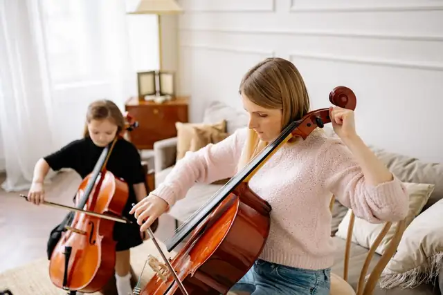cello — photo