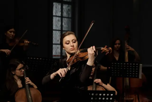 violin — photo