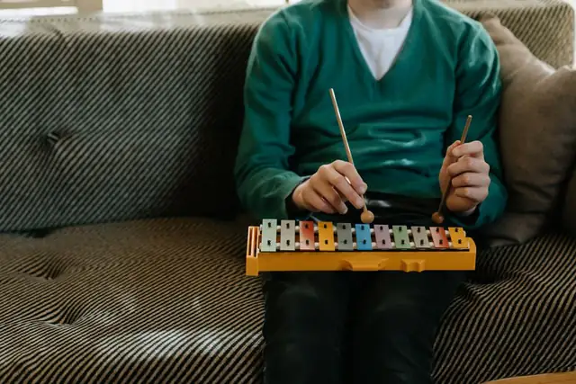 xylophone — photo