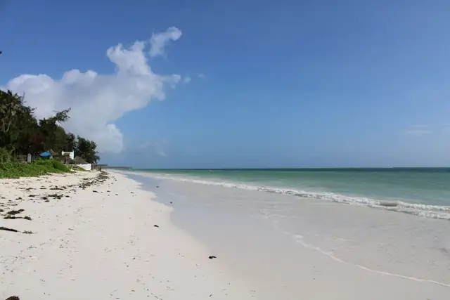 beach — photo