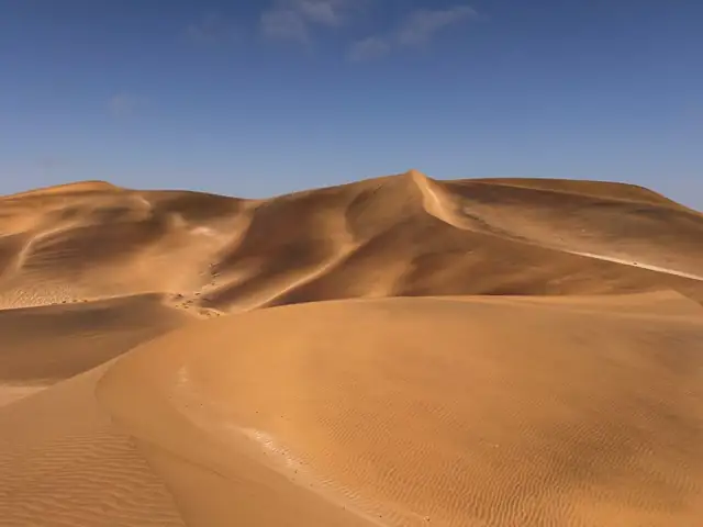 desert — photo