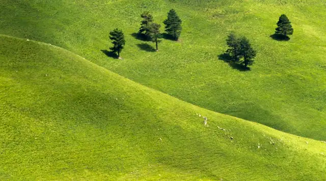 hill — photo