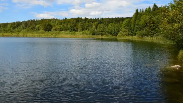 lake — photo