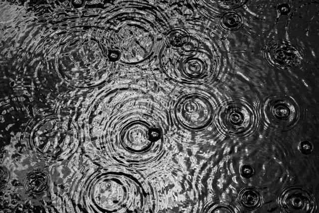 rain — photo