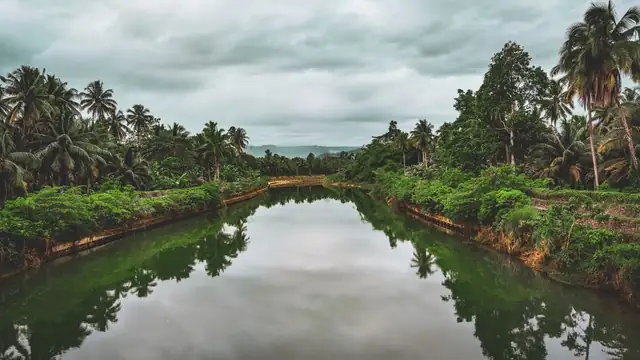 river — photo