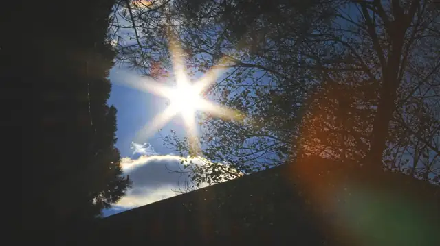 sun — photo