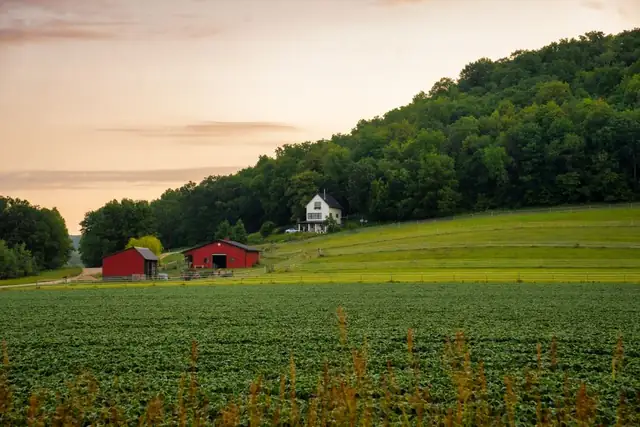 farm — photo