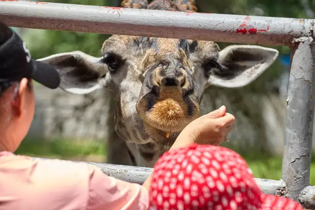 zoo — photo