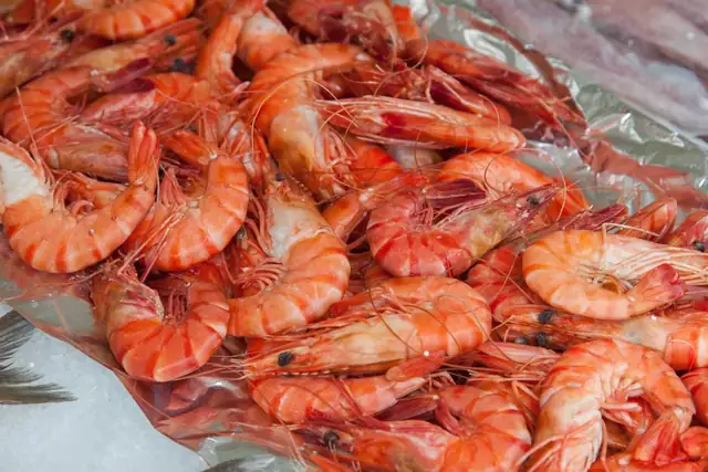 shrimp — photo