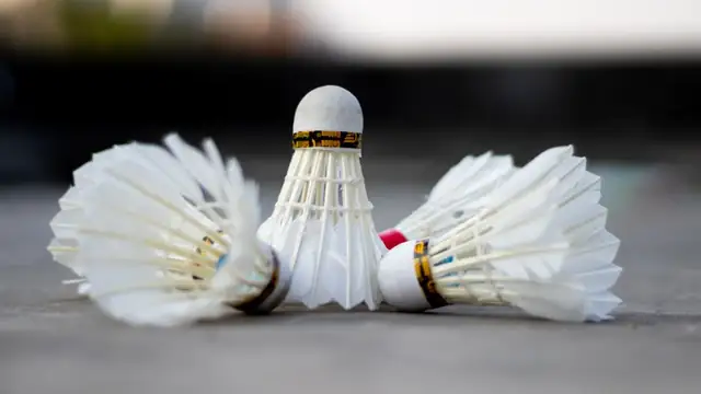 shuttlecock — photo