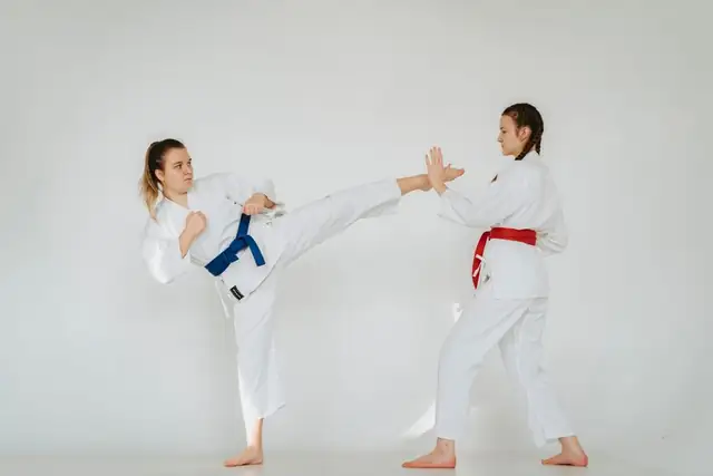 karate — photo