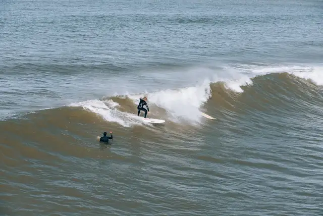 surfing — photo