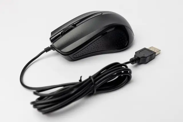 mouse — photo