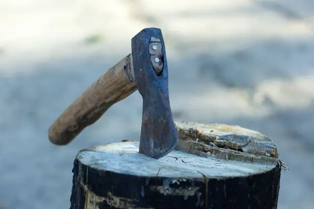 axe — photo