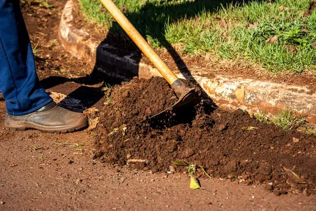 hoe — photo