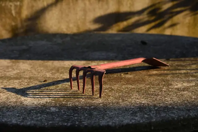 rake — photo