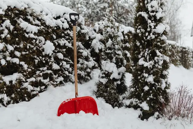 shovel — photo