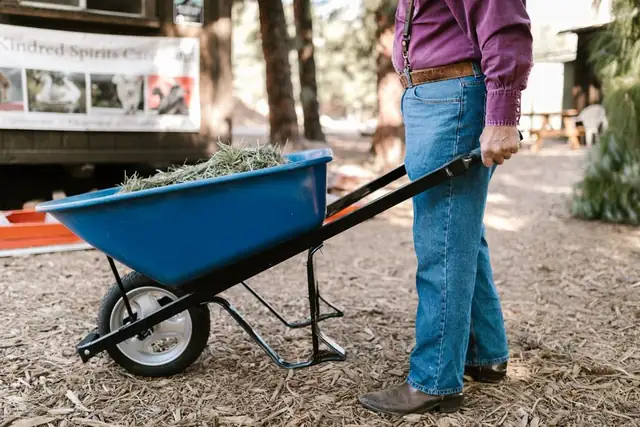 wheelbarrow — photo