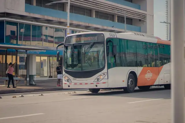 bus — photo
