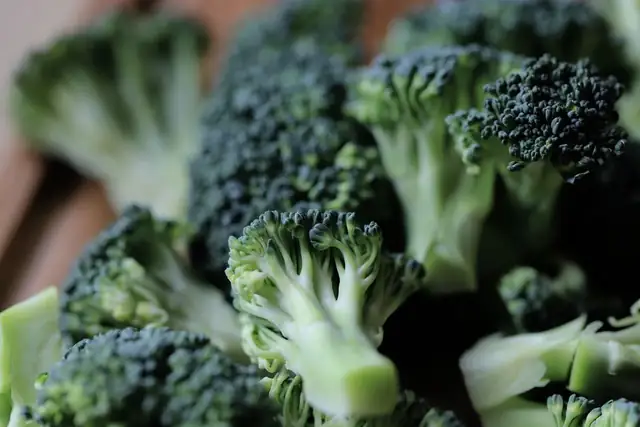 broccoli — photo