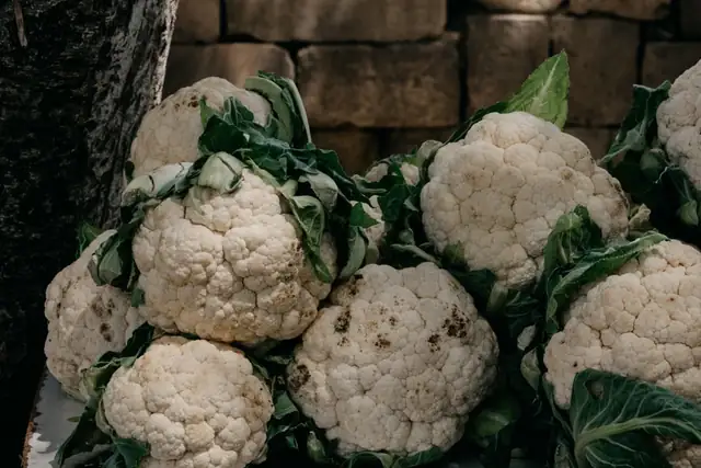 cauliflower — photo