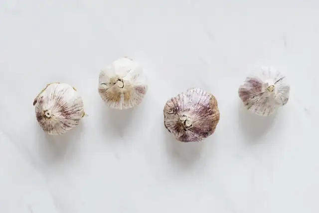 garlic — photo