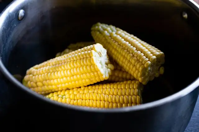 maize — photo
