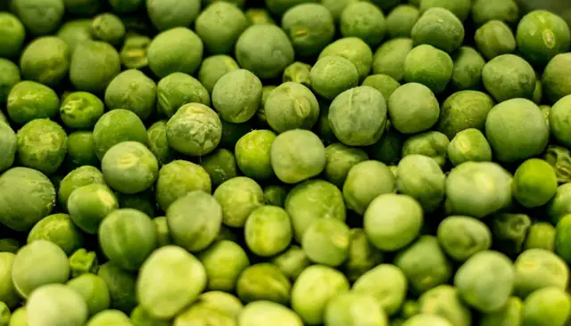 peas — photo