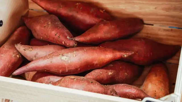 sweet potato — photo